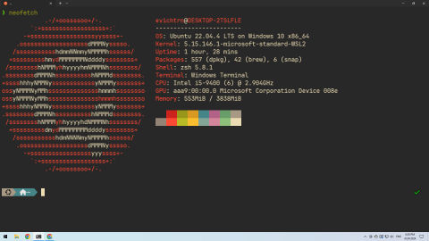 Config Zsh bằng Oh-my-zsh và P10k trên WSL cực ngầu ✨