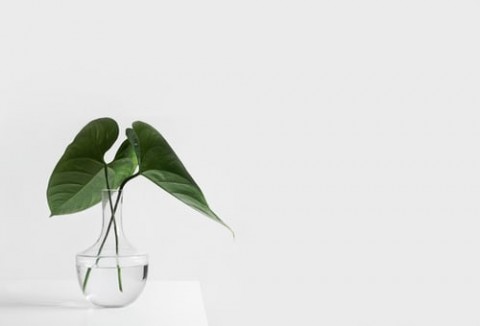 Web Ecommerce Reactjs & Nodejs&nbsp;